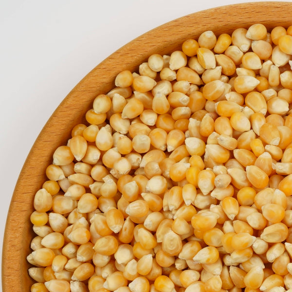 Popcorn -Mais-